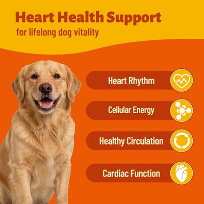 Dog Healthy Heart Supplements - Taurine for Dogs with CoQ10, L-Carnitine, Fish Oil, Vitamins - Supports Cardio & Cardiovascular Health, Antioxidant Support, 7.76 oz