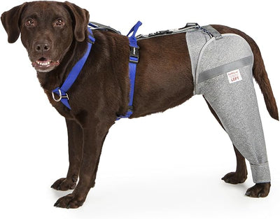 Dog Leg Sleeve for Stop Licking & Post-Surgery Recovery | Protects Injured Rear Legs from Excessive Licking & Scratching | Cone Alternative with Breathable Fabric | Easy to Use (Grey, X-Small)