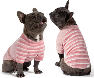 KYEESE 2Pack Waffle Dog Shirt with Sleeves, Lightweight Dog T Shirts for Small Medium Dogs Girl, Breathable Pet Tee Shirts Soft Dogs Clothes for Daily Wear, Pink+Striped, XL