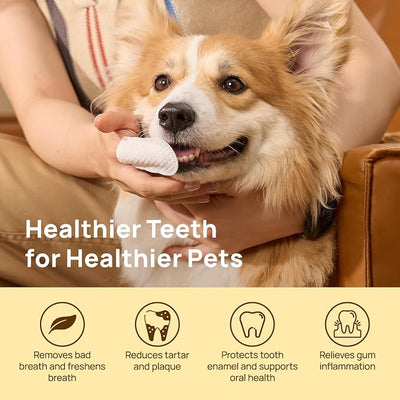 HICC PET Teeth Cleaning Wipes for Dogs & Cats, Vet-Recommended Remove Bad Breath & Plaque & Tartar Buildup Dog Finger Toothbrush Wipes, Dog Tooth Brushing Kit Remove Stain & Gum Care for Small Animal