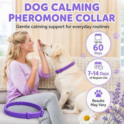 Calming Collar for Dogs 1 Pack, 30 Days Pheromone Dog Collar for Anxiety and Stress Support, Adjustable Dog Calming Collar for Small Medium Large Dogs, Waterproof, Purple