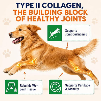 New Upgrade 4 in 1 Advanced Joint Supplement for Dogs Anti Inflammatory Pain Relief Joint Health Turmeric Collagen Hyaluronic Acid Pepper Cartilage Joint Lube All Dog Breeds Chicken 150 Chews