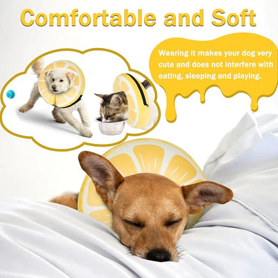 Inflatable Dog Cone Collar for Large Medium Small Dogs, Soft Adjustable Recovery Cone for Dogs Cats,Dog Neck Donut Alternative After Surgery(Lemon,Small