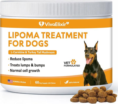 Lipoma Treatment for Dogs – L-Carnitine Helps Maintain Fat Metabolism, Energy, and Vitality; Turkey Tail, Reishi, Curcumin, and Coenzyme Q10 Help Promote Cellular, Immune, and Overall Health
