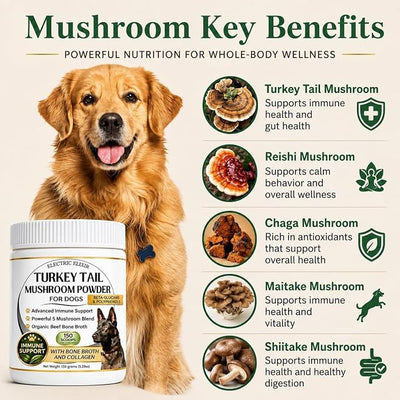 Turkey Tail Mushroom for Dogs - Organic Immune Support Powder w/Bone Broth & Collagen - Boosts Immunity, Gut & Overall Health - Buddy Health Guard Mushroom Blend - Food Topper Supplement -150 Scoops