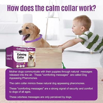 Calming Collar for Dogs, 4 Packs Dog Pheromone Calm Collars to Relief Anxiety Stress Separation, Long Lasting Pheromone for 60 Days, 25 Inches Adjustable for Small Medium and Large Dog (Pruple)