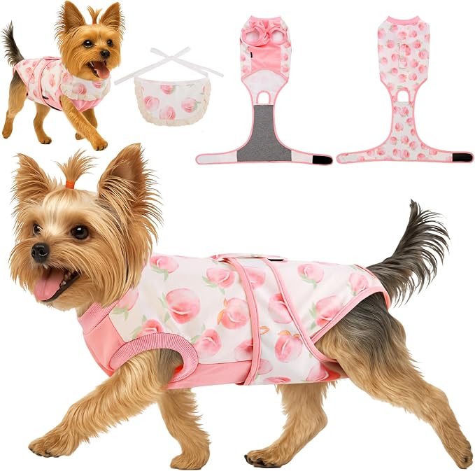 Soft Recovery Suit for Female/Male Dog Cat Puppy After Spay/Neuter, Comfortable Bonus Bandana Included, E-Collar Cone Alternative Anti Licking Wounds, Dogs Full Body Onesie, Pet Onesies Bodysuit, XS