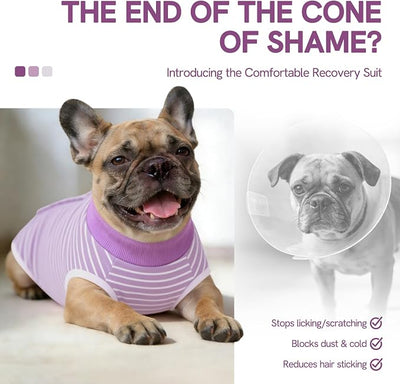 SAWMONG Recovery Suit for Dogs Female Male, Cotton Breathable Dog Onesie After Surgery Spay Neuter, Professional Dog Surgical Suit, Substitute Pet E-Collar Cone, Purple, Small