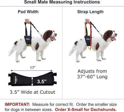 GINGERLEAD Dog Sling Hip Support Harness, SM Male fits Small to Medium Size Pets or Larger Barrel Chested Dogs Like Boxers or Bullies. Male Dachshunds use X-Small Size. Made in U.S.A.