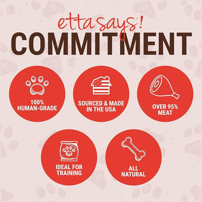 etta says! Yumm Sticks - Real Meat Beef Dog Jerky Treats - Human Grade - Made in The USA (12 Count Pack of 1)