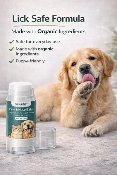 Dog Paw Balm Stick for Dogs & Cats – Lick-Safe Paw & Nose Balm for Dry Cracked Paws – Paw Protector for Hot Pavement & Winter Walks – No-Mess Moisturizing Formula (40g)