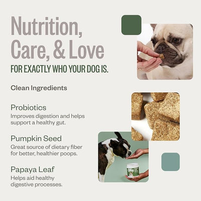 Ollie Belly Rubs, Probiotic Dog Chews, Digestive Health, Natural Ingredients, for Upset Stomach Relief, Appx. 60 Count