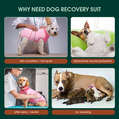 Kuoser Recovery Suit for Dogs, Soft Dog Spay Suit for Female Surgery Recovery, Breathable Dog Neuter Recovery Suit Male, Anti Licking Dog Onesie for Abdominal Wounds Cone Alternatives, Pink XL