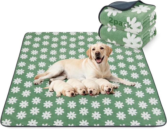 LOOBANI Extra Large Whelping Pad, Non-Slip Dog Pee Pads Washable, Fast Absorbent Reusable Pee Pads for Dogs, Waterproof and Leakproof Dog Playpen Mat for Floor, Crate, Potty (48"x48",2 Packs)