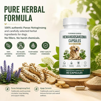 Yunnan Sanqi Capsules for Dogs - Herbal Quick Stop Bleeding & Circulatory Support for Hemangiosarcoma, Hemoabdomen, Pericardial Effusion, Severe Bruising, Ulcer-Related Bleeding, 90 Capsules