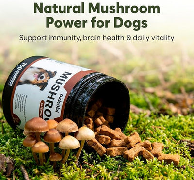 Turkey Tail Mushroom for Dogs - 150 Soft Chews - with Turkey Tail, Lion’s Mane, Chaga, Reishi & Shiitake - Immune Support & Cognitive Health Mushroom Supplement for Dogs