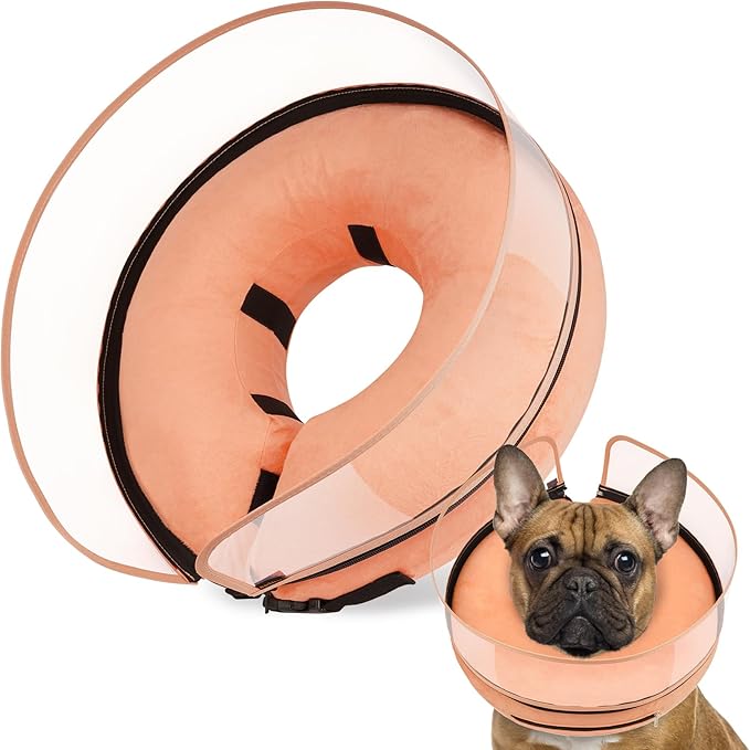 BARKLESS Dog Cone, Inflatable Dog Cone After Surgery, Soft Surgery Collar with Enhanced Anti-Licking Guard Shield for Pets, Patented Protective Donut Collar (Orange, M (Neck: 8"-11"))