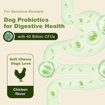 Probiotics for Dogs - Dog Probiotics for Digestive Health - 40 Billion CFU Dog Probiotic FOS Enzymes Pumpkin - Daily Gut Health for Sensitive Stomach Diarrhea Relief, Chicken Flavor, 12Ct