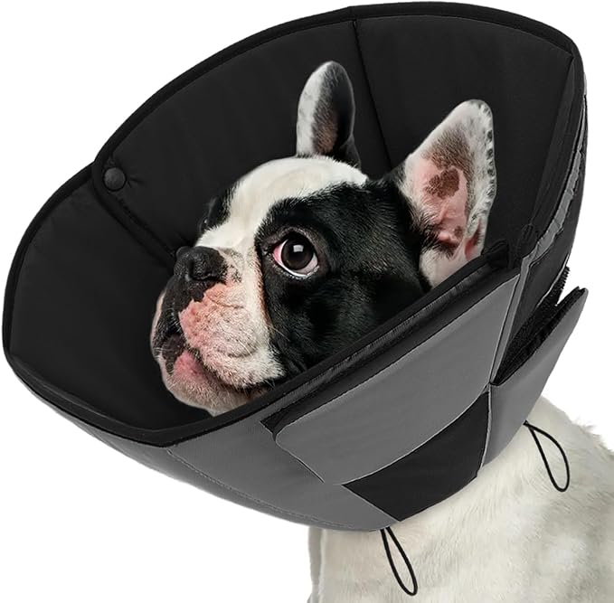 Queenmore Dog Cones for Small Dogs, Soft Cone for Dogs After Surgery, Adjustable Comfy Cone for Dogs & Cats, Comfortable Pet Cone After Surgery for Wound Healing, Grey S