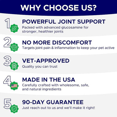 Dog Joint Supplement Large Breed - Glucosamine & Chondroitin Treats for Dogs - Supplement w/Omega-3, MSM - Made in USA - Joint Pain Relief - 240 Mobility Chews
