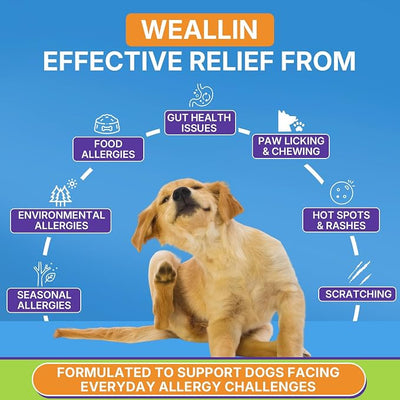 Dog Allergy Relief Chews, Dog Allergy Chews, 200 Treats with Probiotics & Omega 3 Fish Oil, Itchy Skin Relief, Immune Support, Paw Licking, Itchy Ears, Scratching, Seasonal Allergies, Chicken Flavor