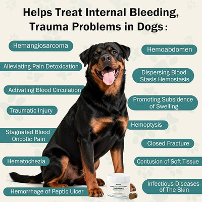 Yunnan Sanqi for Dogs Soft Chew for Hemangiosarcoma, Hemoabdomen, Pericardial Effusion, Cancer Bleeding, Severe Bruising, Ulcer-Related Bleeding, Bloody Stools - 90 Soft Chews