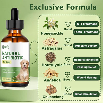 Dog Antibiotics for Infections, Cough, & Itching | Natural Antibiotics for Dogs for All Ages to Promote Wound Healing | Dog UTI Treatment and Tooth Infection Treatment | Chicken Flavor | 2 Oz