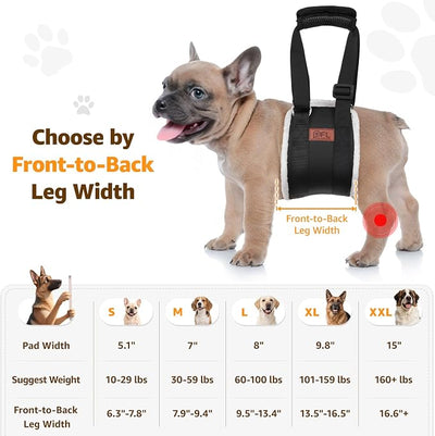 Adjustable Dog Lift Harness, Dog Sling for Small Dogs Lift Support and Rehab Harness for Weak Rear Legs, Soft Hind Leg Support Helps Senior, Injured, Disabled and After ACL Surgery Dogs(Black,Small)