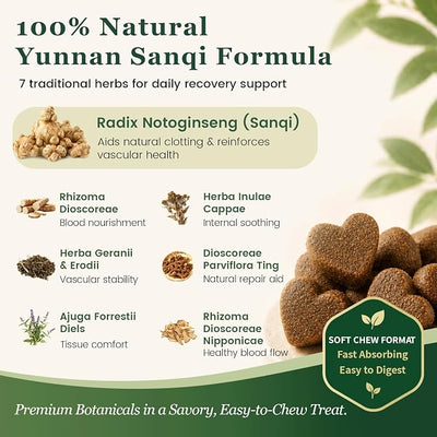 Herbal Yunnan Sanqi Soft Chews for Dogs, Stop Bleeding & Blood Builder for Hemangiosarcoma, Hemoabdomen, Cancer Bleeding, Kidney - Safe Daily Support for Long - Term Care, Boosts Vitality&Energy-150ct