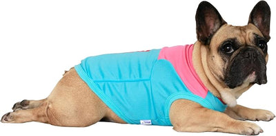 iChoue French Bulldog Summer Cooling Shirt for Dogs UV Sun Protection Vest Sleeveless Breathable Tank Top English Pug Turquoise Rose - Large Plus