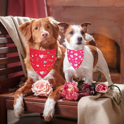 PTDECOR Valentine Dog Bandana, Red Pink Love Heart Design Reversible Pet Scarf, Triangle Valentine Bandanas for Large and Extra Large Dogs Dogs (X-Large)