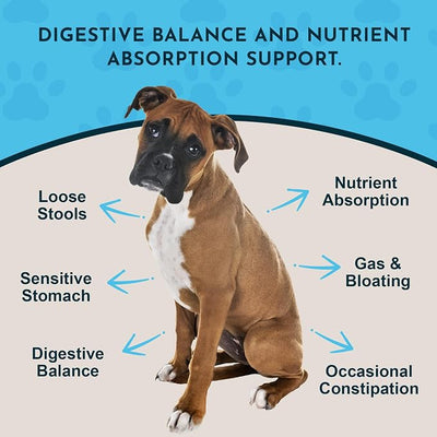 Animal Essentials Plant Enzyme & Probiotics - Probiotics & Digestive Enzymes for Dogs & Cats, Natural Daily Gut & Digestion Support Supplement for Pets, Plant Based - 10.6 oz