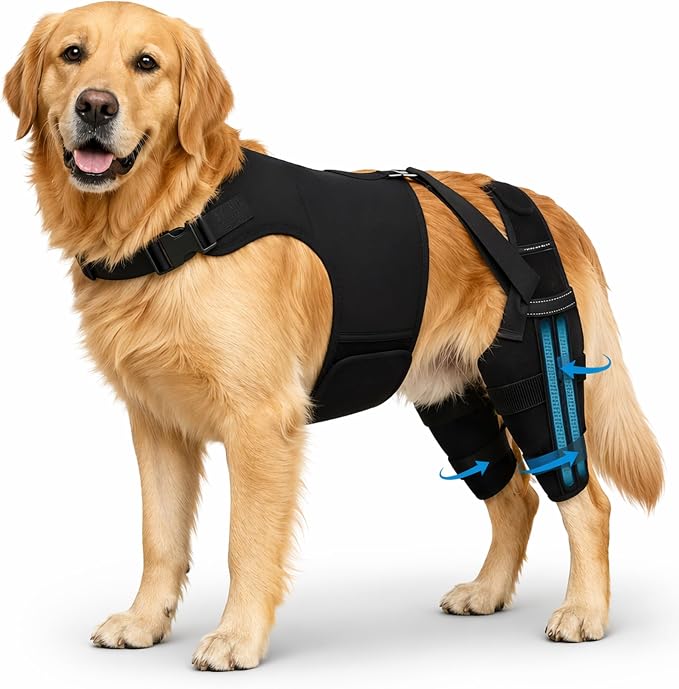 Dog Knee Brace for Back Legs (L) – Dual Hind Leg Support with Hip Harness, Adjustable Joint Stabilizer for Cruciate Ligament & Mobility Assistance, Breathable Pet Leg Wrap