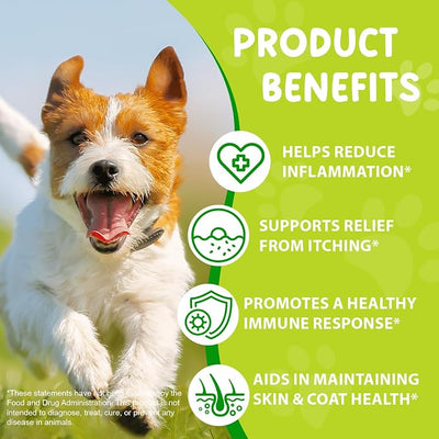 Yeast Infection Treatment for Dogs (2 fl oz), Natural Yeast Treatment for Dogs, Supports Healthy Itch Relief, Dog Allergy Relief, Alleviates Itching, Improves Coat & Skin, Dog Herbal Supplement