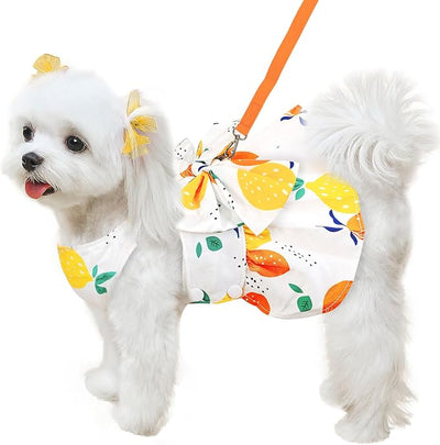 ABRRLO Cute Dog Dress Small Dog Clothes for Girls Female Puppy Outfits Yellow Lemon Pet Summer Clothes Bowknot Doggy Cat Princess Dress Harness for Holiday Birthday Party Costume Clothing(Yellow,L)