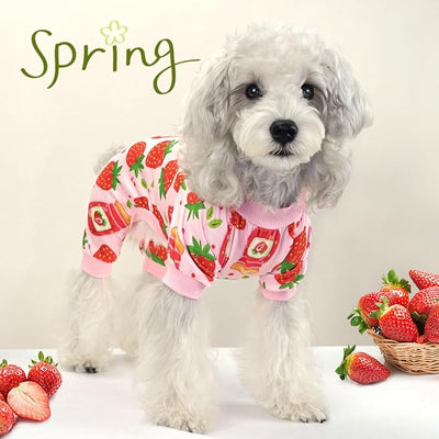 XPUDAC 4 Pack Dog Pajamas for Small Dogs Girl Boy Soft Stretchy Pjs Summer Puppy Clothes for Doggie Pet Outfits, 2X-Large