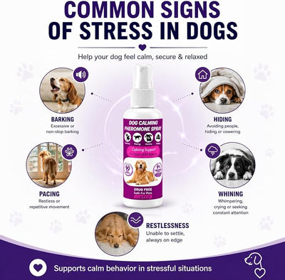Dog Calming Pheromone Spray for Anxiety Relief, Helps Reduce Barking & Stress, Calming Support for Travel, Fireworks, Thunderstorms, Vet Visits & Separation Anxiety, 6.8 oz | Dog Calming Pheromone Spray