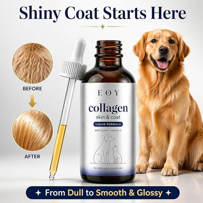 Liquid Collagen for Dogs & Cats, Joint Support, Skin & Coat Supplement, Grass-Fed Collagen with Biotin, Vitamin C & Hyaluronic Acid, Itchy Skin Support, 4 Fl Oz