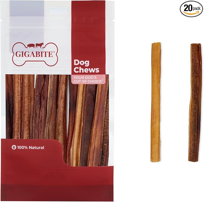 GigaBite Bully Sticks for Dogs All Natural Beef Pizzle Dog Chews, Odor & Rawhide Free Dog Treats, Long Lasting High Protein Chews Digestible Dental Dog Treat - Sticks (Medium Half-Cut 6"), Pack of 20