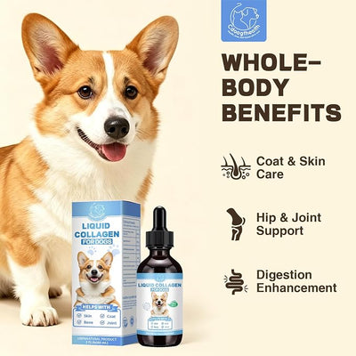 Premium Liquid Collagen for Dogs - Promotes a Glossy Coat, Hip & Joint Flexibility - Easy-Absorb Hydrolyzed Collagen Peptides with Eggshell Membrane - 2 fl oz
