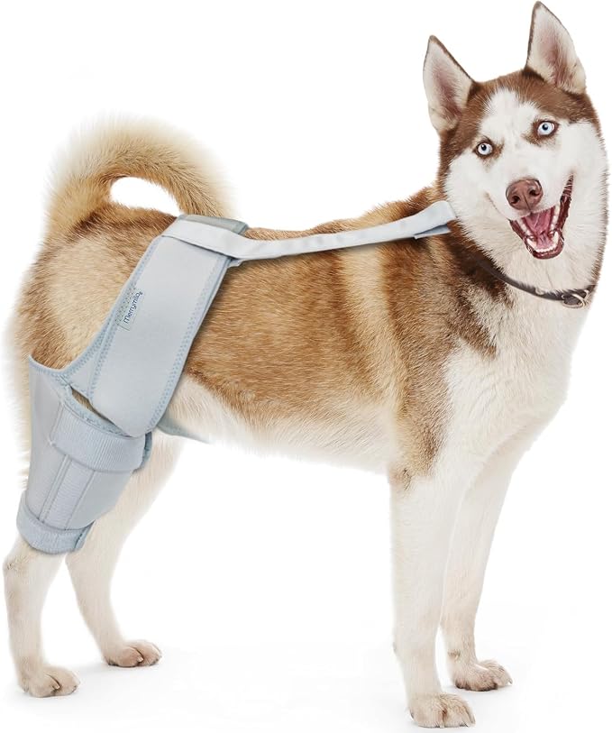 Dog Knee Brace for Hind Leg Support, Helps Stabilize ACL, Cruciate Ligament & Arthritis, Back Leg Recovery, Silver, X-Large