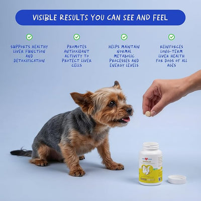 Same for Dogs 120 Tablets - Liver Supplement, Brain & Mood Support | S-Adenosyl-L-Methionine formula. Supports liver function, brain health & mood. Daily cognitive support.