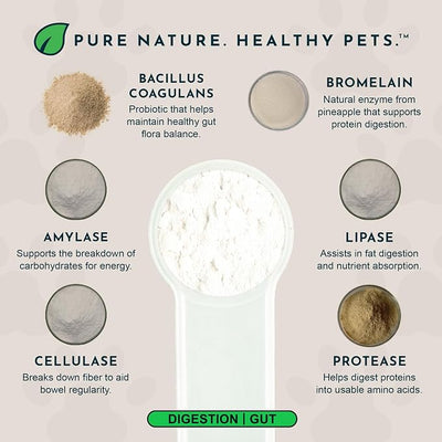 Animal Essentials Plant Enzyme & Probiotics - Probiotics & Digestive Enzymes for Dogs & Cats, Natural Daily Gut & Digestion Support Supplement for Pets, Plant Based - 3.5 Oz