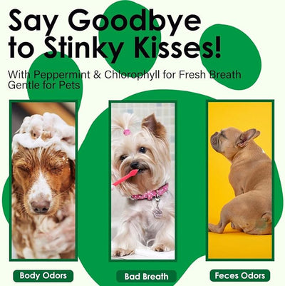 Chlorophyll for Dogs - Stop Stinky Breath, Natural Breath Freshener, Oxy-Fresh Water Additive & Drops Powder Formula (100g)