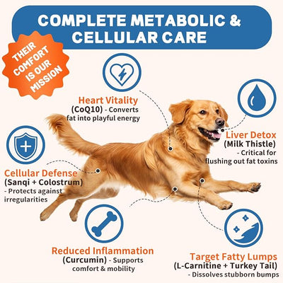Lipoma Treatment for Dogs – L-Carnitine Optimizes Fat Metabolism & Comfort; Advanced Formula with Turkey Tail, Yunnan Sanqi, CoQ10 & Curcumin Blend for Cellular Care, Immunity & Vitality - 150 Chews