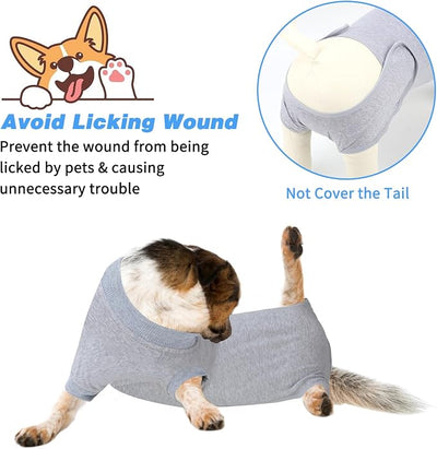 2 Packs Breathable Cotton Dog Recovery Suit for After Neuter Spay Abdominal Wounds Protector, Professional Anti-Licking Onesies for Male Female Pets Surgery Bandages, L Grey Blue Pure