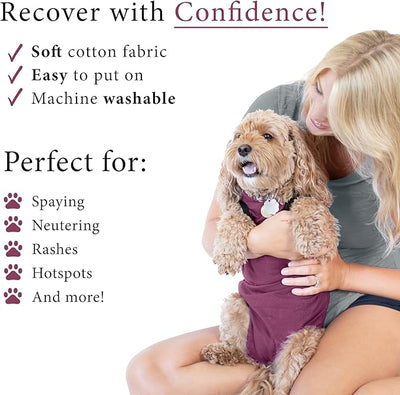 BellyGuard Dog Surgery Recovery Suit, Post-Op Dog Recovery Suit for Female Spay & Male Neuter, Comfy Onesie for Pets, Surgical Body Cover for Canine Healing Support