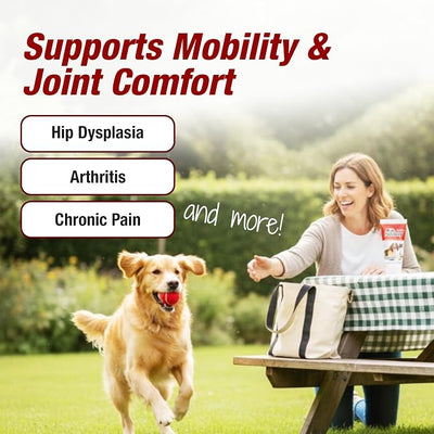 Pet Pain Away All Natural Dog Arthritis Pain Relief Gel, Cat Pain Relief, Dog Pain Relief Anti Inflammatory, Dog Joint Pain Relief, Homeopathic Pain Reliever for Large and Small Dogs and Cats (2-Pack)