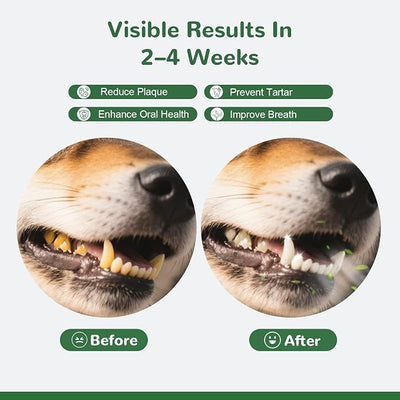 Dog Dental Powder, Dog Teeth Cleaning Powder for Fresh Breath Tartar Remove & Plaque Off, Dental Powder for Dogs Teeth with Natural Plant Blend and Probiotics, 150g
