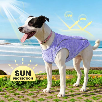 PETCARE Sun Protection Dog Shirts for Small Dogs Quick Dry Soft Stretchy Dog T-Shirts with Reflective Label Tank Top Sleeveless Vest Pet Clothes, Athletic Fabric, Purple, M (Chest 17" Length 13.8")